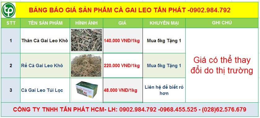 Bảng giá sp cà gai leo của CTY Tấn Phát tại Việt Trì