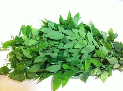 canh rau ngót bổ sức khỏe