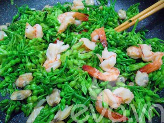 công dụng của hoa thiên lý