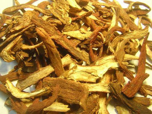 đan sâm chữa bệnh 